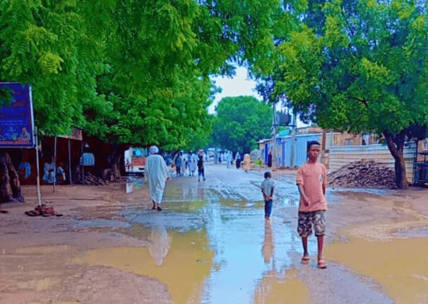 آخر التطورات في الجبهات بولاية سنار