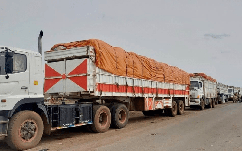 الأمم المتحدة تدعم 40 ألف أسرة في جنوب دارفور بالبذور