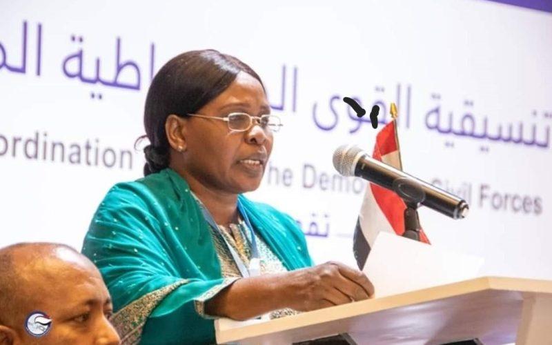 «التيار الثوري الديمقراطي» يعتذر عن المشاركة في اجتماعات القاهرة