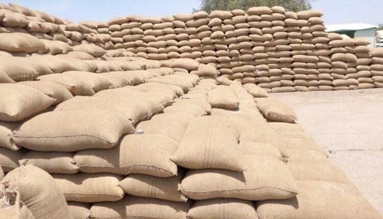 توقف عمليات البيع والشراء بمحاصيل القضارف