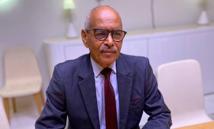 وزير الخارحية: 12 دولة عربية أكدت دعمها الكامل للموقف السوداني