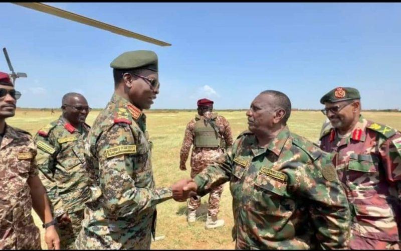 كباشي يصل ولاية الجزيرة