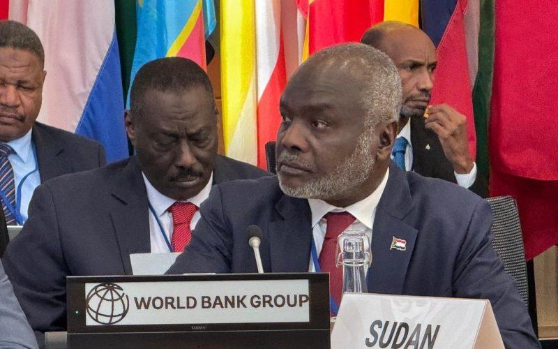 المالية يؤكد في الجلسة العامة للجنة التنمية أهمية الاستجابة لمطالب الدول ذات الهشاشة والنزاعات