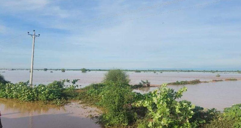 زين تواصل دعمها للمتضررين من الأمطار: مساعدات في نهر النيل والشمالية