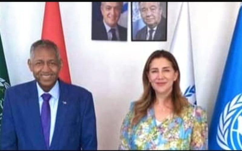عدوي يبحث مع مسؤولة مفوضية اللاجئين أوضاع السودانيين بمصر