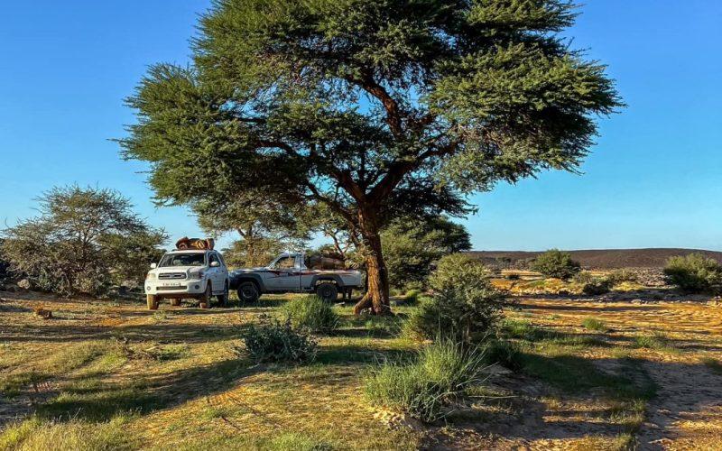 وزير الصحة الاتحادى يعلن البدء الفعلى لإدخال لقاح الملاريا ضمن التطعيمات الروتينية للأطفال