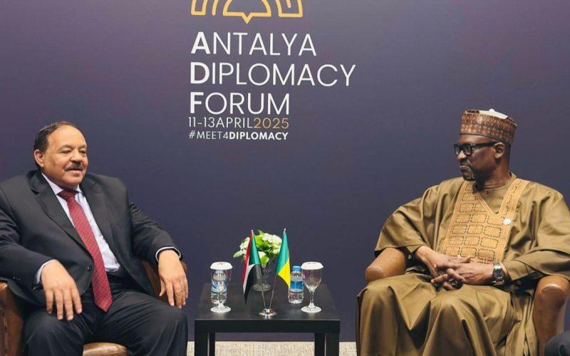 وزير الخارجية يلتقي نظيره المالي