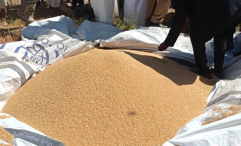 والي الشمالية يدشن عمليات حصاد القمح بمشروع عبري الزراعي