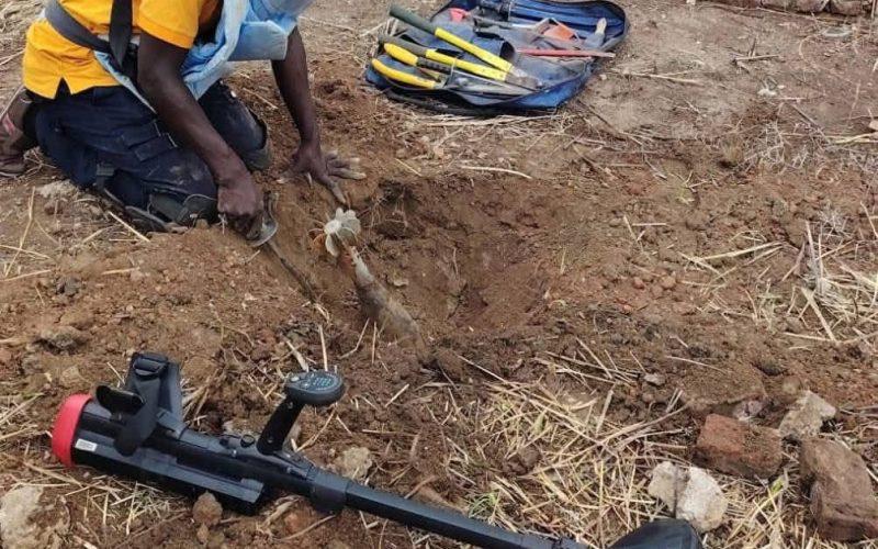 منظمة “NUMAD” تزيل 741 جسما من مخلفات الحرب بولاية سنار