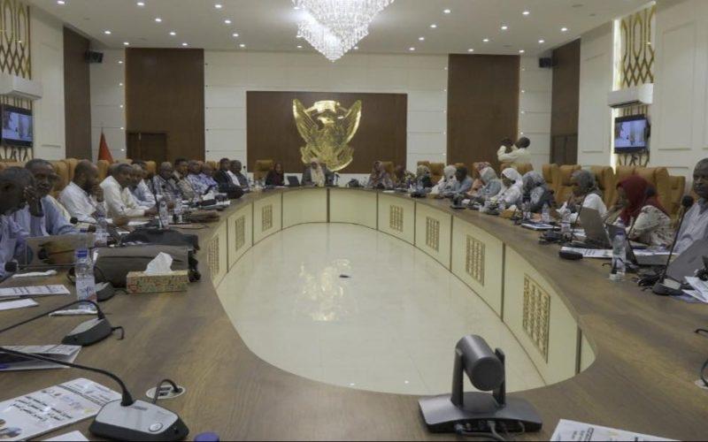 الأمين العام لمجلس البيئة: تنمية القدرات ركيزة أساسية لنجاح أي مشروع