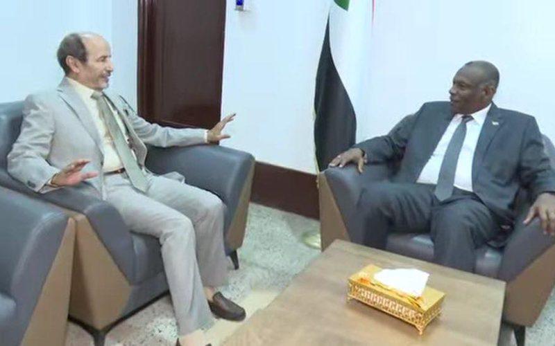 وزير الدولة بوزارة الخارجية يلتقي سفير المملكة المغربية