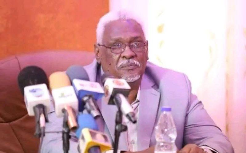 إنهاء وتكليف مديرين تنفيذيين بنهر النيل