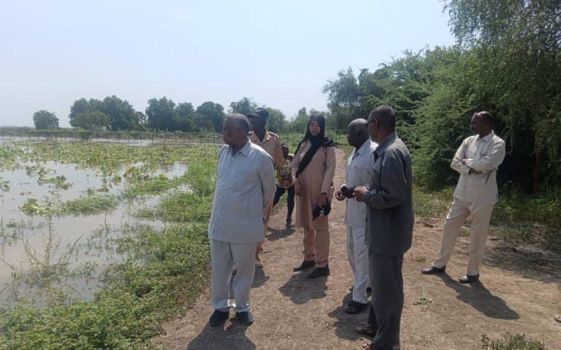 تنفيذي كوستي يقف على مناسيب النيل بمنطقة الحداحيد بحي الشاطئ