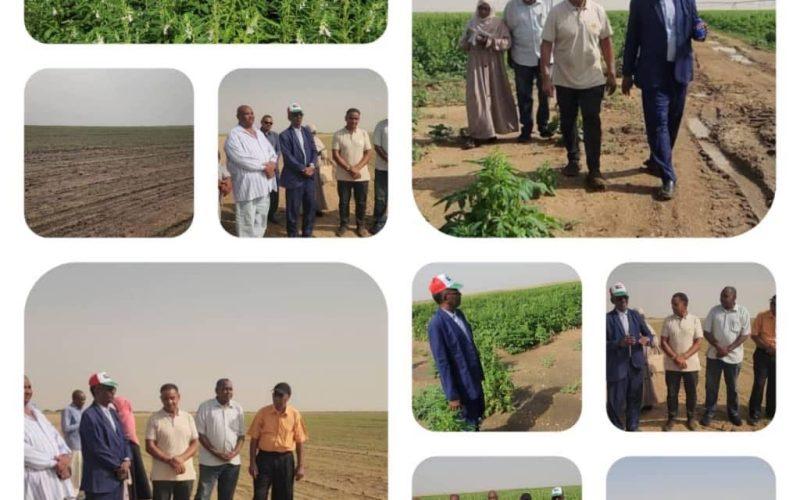 وزير الزراعة بولاية نهر النيل يقف على زراعة الأرز بمشروع الأمن الغذائي بعطبرة