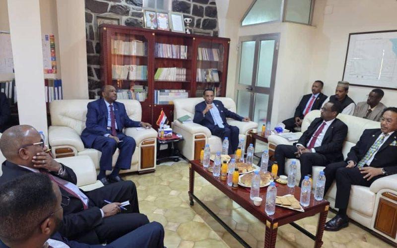 رئيس مجلس الوزراء يلتقي عدد من أبناء الجالية السودانية في أسمرا