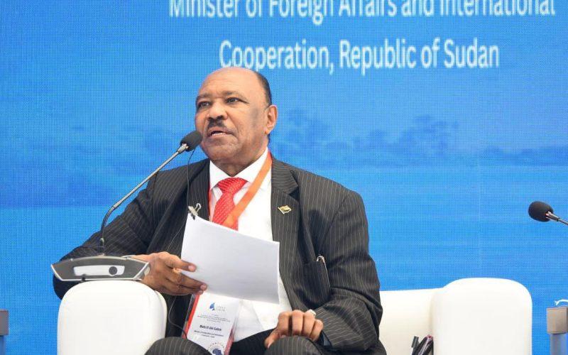 وزير الخارجية يزور واشنطن بدعوة رسمية من الحكومة الأمريكية