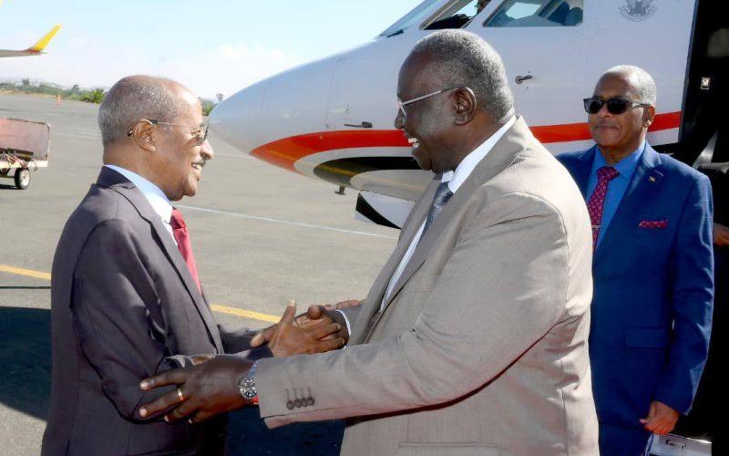 نائب رئيس مجلس السيادة يلتقي الرئيس الأريتري ويطلعه على تطورات الأوضاع فى السودان