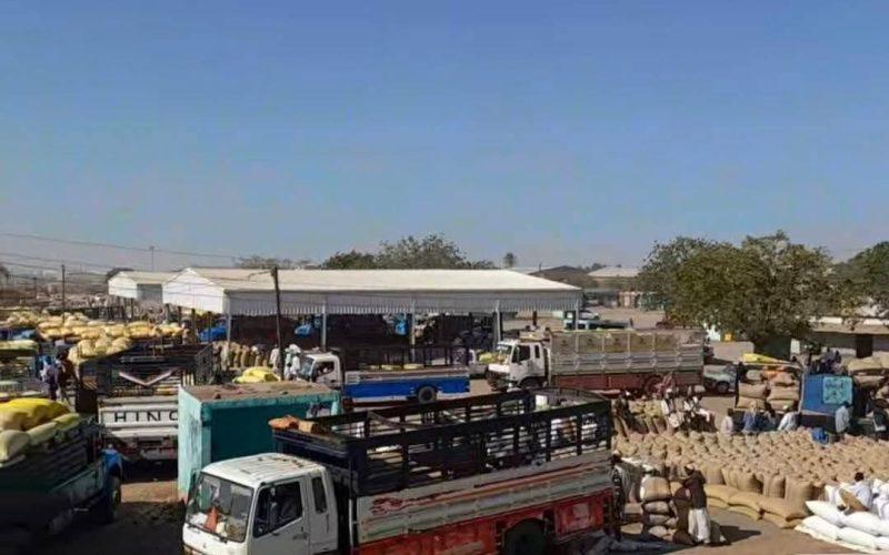 ارتفاع في وارد المحاصيل الزراعية بسوق محاصيل القضارف