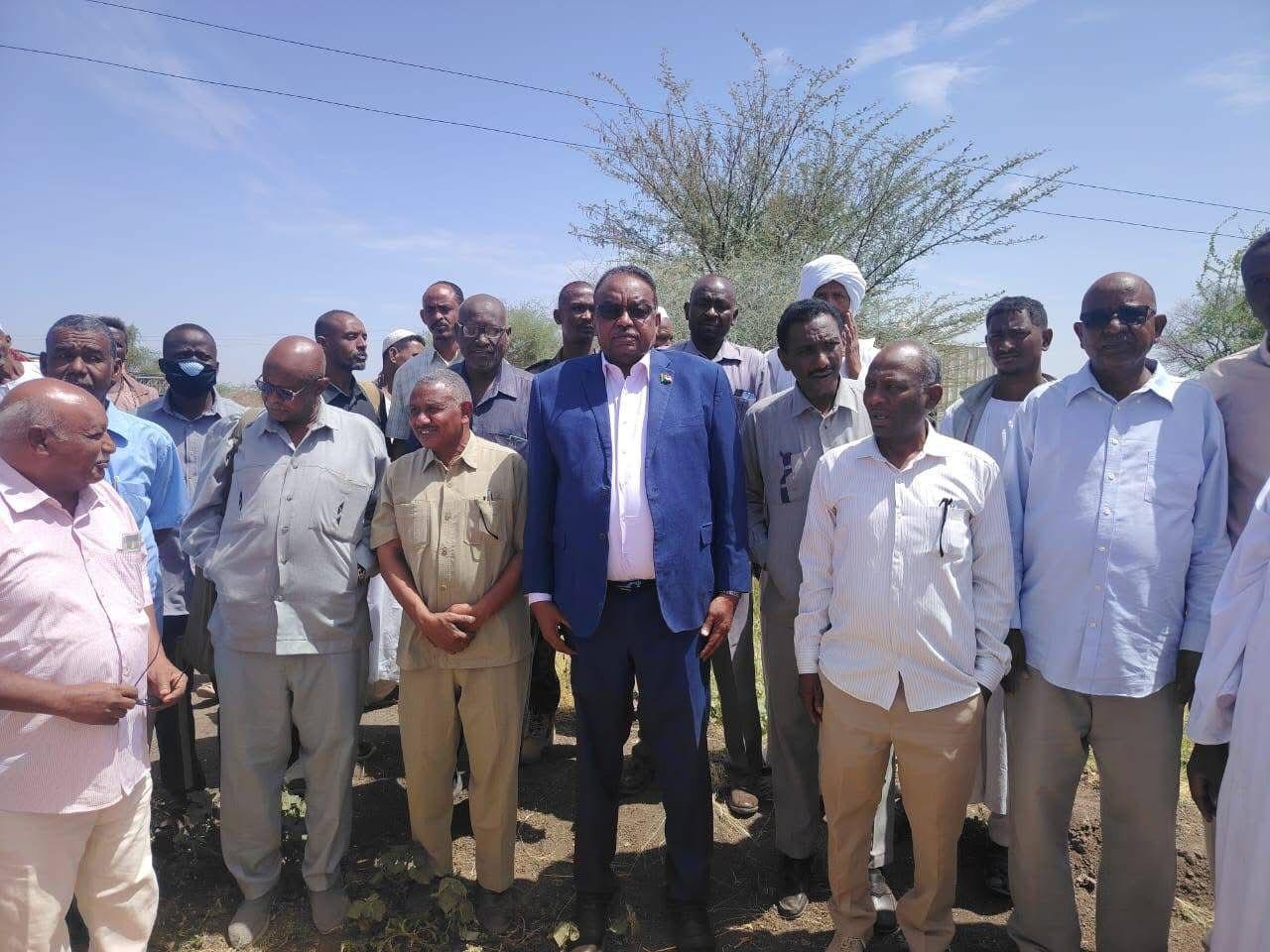 اكتمال حصاد 80% من مساحات القمح بمشروع الجزيرة