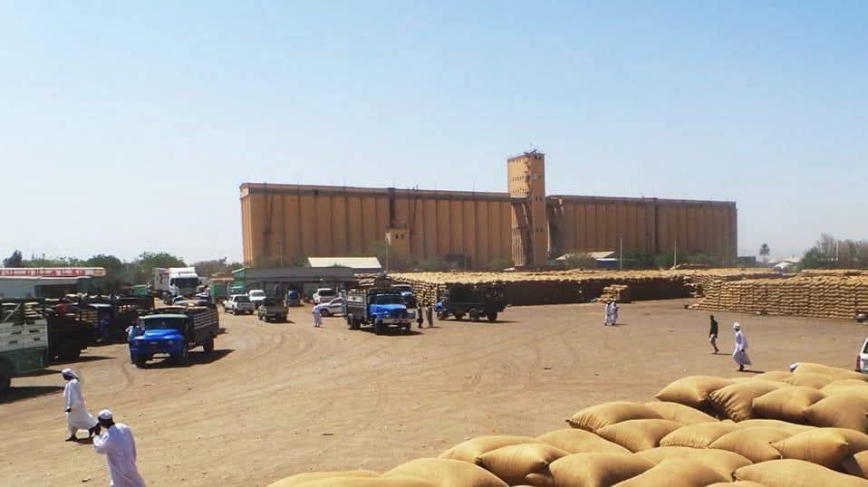 ارتفاع وارد المحاصيل الزراعية ببورصة القضارف والدخن يواصل الصعود