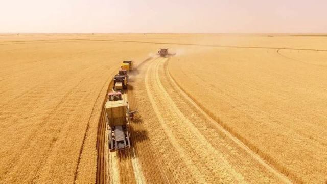 توقيع مذكرة تفاهم لتمويل إنتاج تقاوي القمح