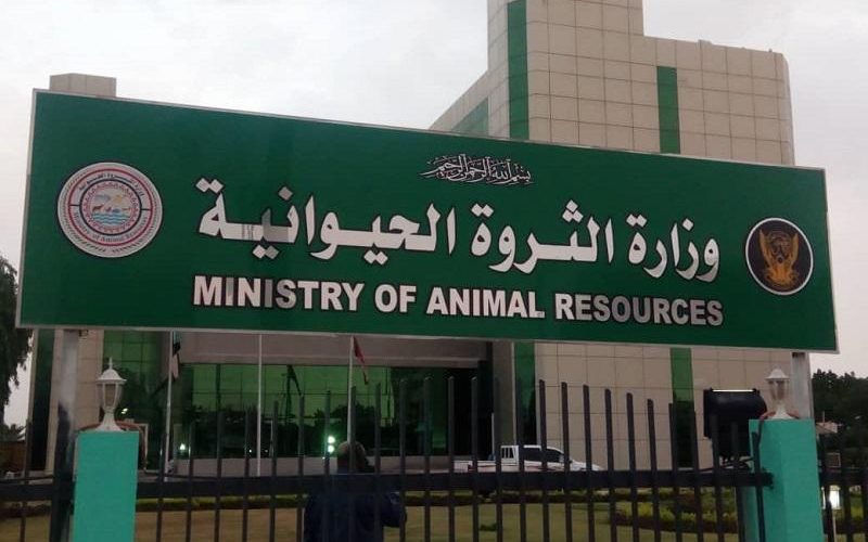 وزير الثروة الحيوانية السوداني يؤكد  اكتمال إجراءات إنسياب الصادر