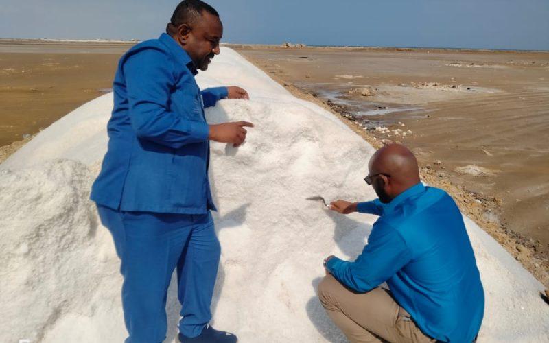 تخصيصُ ملاّحات لتطوير صناعة الملح في السودان