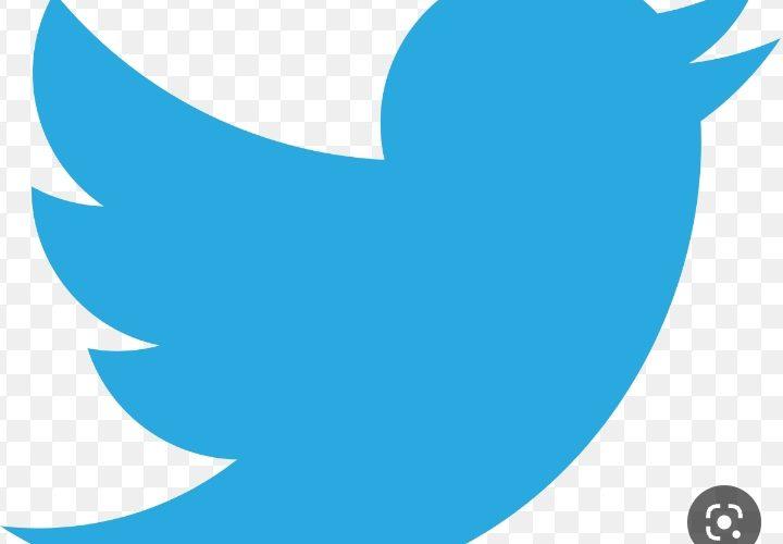 تويتر تكشف عن مصير الحسابات الموثقة دون رسوم شهرية