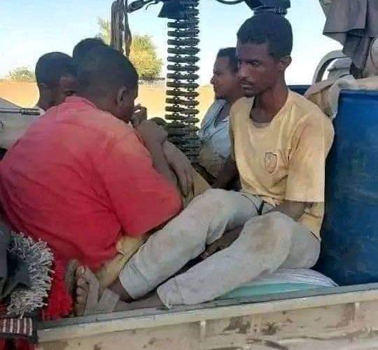 مقاومة الحصاحيصا: مقتل 4 مواطنين وإصابة 10 آخرين من قبل قوات الدعم السريع بقرية ود البليلة