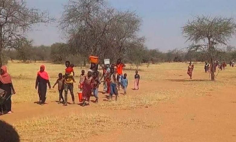 الأمم المتحدة:  النزوح الداخلي في السودان يهدد القطاع الزراعي