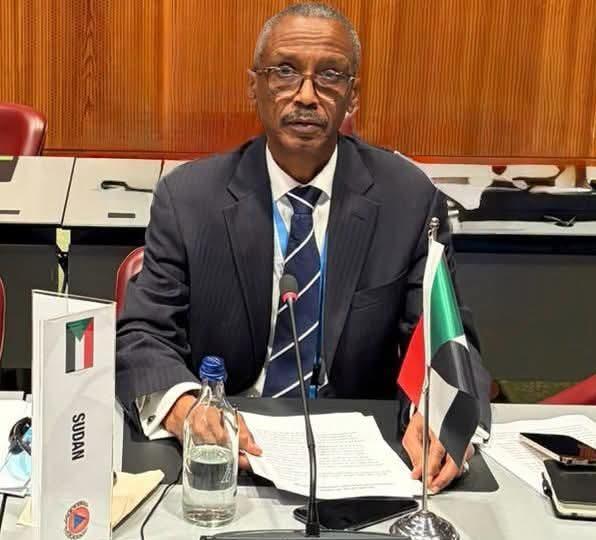 إعادة انتخاب السودان لعضوية المجلس التنفيذي للمنظمة الدولية للحماية المدنية بجنيف
